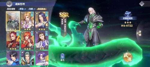 (斗罗大陆游戏讲解)探寻斗罗大陆游戏的奥秘：打造属于自己的冒险之旅